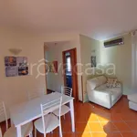 Rent 2 bedroom apartment of 65 m² in Gallarate