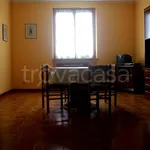 Rent 3 bedroom apartment of 50 m² in Colli Verdi