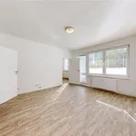 Rent 3 bedroom apartment in Ostrava