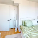 Rent 1 bedroom apartment in New York City