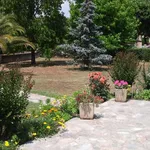 Rent 4 bedroom house of 100 m² in Prunelli-Di-Fiumorbo