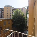 Rent 6 bedroom apartment in Milan