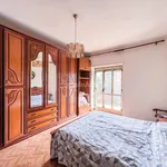 Rent 3 bedroom apartment of 65 m² in Torino