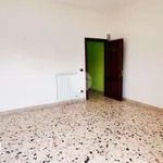 Rent 4 bedroom apartment of 130 m² in Palermo