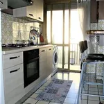 Rent 2 bedroom apartment of 55 m² in Roma