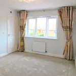 Rent 1 bedroom house in Colchester