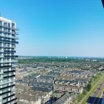 Rent 2 bedroom apartment in Oshawa (Windfields)