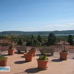 Rent 5 bedroom apartment of 130 m² in Varese