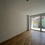 Rent 2 bedroom apartment of 56 m² in Graz