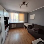 Rent 4 bedroom apartment of 80 m² in Katowice