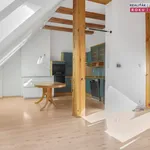 Rent 3 bedroom apartment of 74 m² in Brno