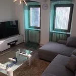 Rent 4 bedroom apartment of 150 m² in Heidelberg