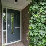 Huur 3 slaapkamer huis van 146 m² in Haarlem