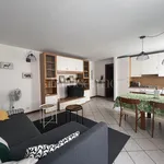 Rent 2 bedroom apartment of 55 m² in Como