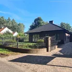 Rent 4 bedroom house in LICHTAART