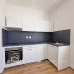 Rent 1 bedroom apartment in Plzeň