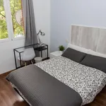 Rent 3 bedroom apartment in Madrid