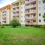 Wohnung über 50 m² in Dresden