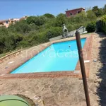 Rent 3 bedroom apartment of 55 m² in Olbia