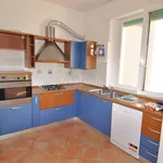 Rent 4 bedroom apartment of 80 m² in Livorno