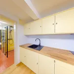 Rent 3 bedroom apartment in Plzeň