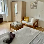 Studio of 38 m² in Prague