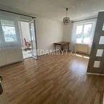 Rent 3 bedroom apartment of 100 m² in Capital City of Prague