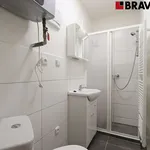 Pronajměte si 1 ložnic/e byt o rozloze 30 m² v Brno