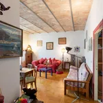 Rent 1 bedroom apartment in Rome