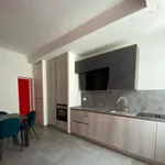 Rent 1 bedroom apartment in Milan