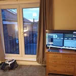 Rent 1 bedroom house in Worcester