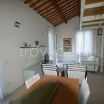 Rent 2 bedroom apartment of 70 m² in Jesi