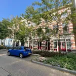 Studio of 33 m² in Arnhem