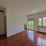 Rent 1 bedroom apartment of 30 m² in Turin