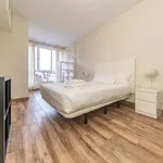 Rent 1 bedroom apartment of 32 m² in Madrid