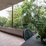 Rent 4 bedroom apartment of 60 m² in Seveso