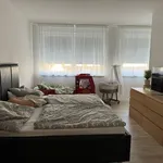 Miete 3 Schlafzimmer wohnung von 115 m² in Albstadt