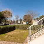 Rent 3 bedroom apartment of 60 m² in Follonica