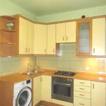 Rent 1 bedroom apartment of 41 m² in Łódź