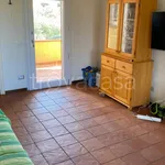 Rent 3 bedroom apartment of 75 m² in Arzachena