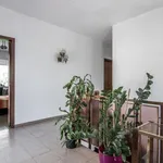 Rent 6 bedroom house in Barcelona