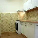 Rent 3 bedroom apartment in Praha 6