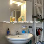 Rent 2 bedroom apartment of 50 m² in Villanova de Bellis