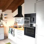 Rent 3 bedroom apartment of 100 m² in Monza