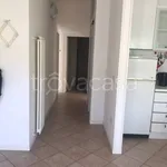 Rent 4 bedroom apartment of 85 m² in Massa