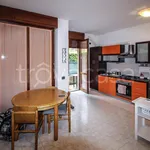 Rent 1 bedroom apartment of 70 m² in Seregno