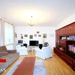 Rent 3 bedroom apartment of 147 m² in Poznan