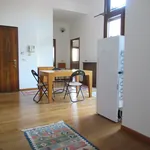 Rent 1 bedroom apartment of 50 m² in Treviso