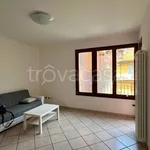 Rent 3 bedroom apartment of 65 m² in Borgo San Dalmazzo