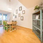 Rent 6 bedroom apartment of 100 m² in Potsdam